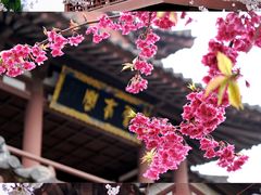 -西安青龙寺遗址景区