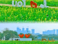 -光明小镇欢乐田园