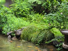 -绣园·茶食宴(湘绣博物馆店)