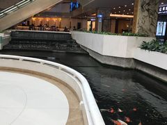 -广东大厦酒店(广州北京路步行街纪念堂地铁站店)