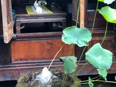 -鱼桥巷·美学川菜