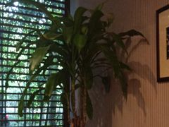 -东方明珠老上海8号餐厅(东方明珠广播电视塔店)