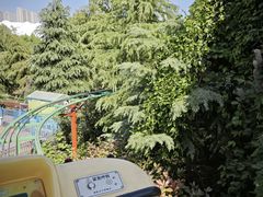-芜湖方特东方神画