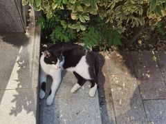 -好声音时尚量贩KTV(之心城店)