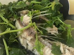 -东兴黄鳝饭店(江洲店)