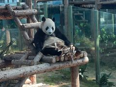 -大连森林动物园