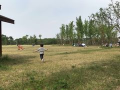 -白鹭湾湿地公园