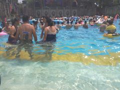 -重庆海昌加勒比海水世界
