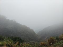 -梧桐山风景名胜区