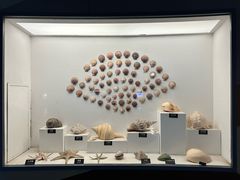 -泉城欧乐堡海洋极地世界