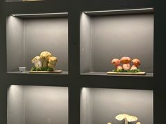 -一朵菌·野生菌探索家火锅(南亚店)