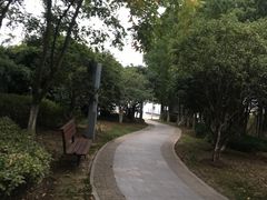-暨阳湖生态园