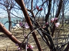 -天津东丽湖风景区