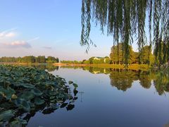 -东湖听涛景区