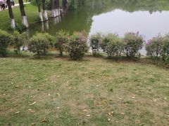 -东莞植物园