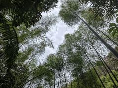 -蜀南竹海景区