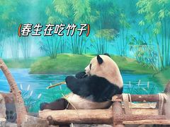 -杭州动物园