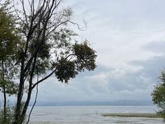 -洱海月湿地公园