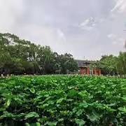 -四川大学(江安校区)