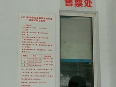 -小海豚国际游泳培训(长宁龙之梦酒店)