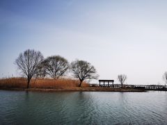 -太湖湖滨国家湿地公园-停车场