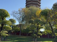-西海子公园