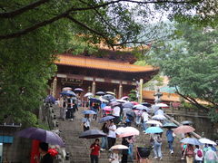 -深圳仙湖植物园-停车场