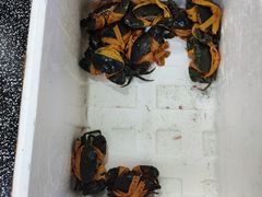 -面道赞宁海海鲜面(迎凤街店)