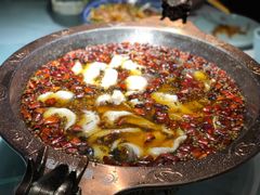 -雲蜀龙阁·金牌水煮鱼(方庄店)