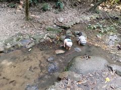 -火炉山森林公园