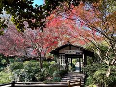 -中国茶叶博物馆(双峰馆区)