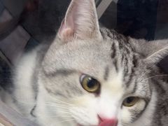 -中农国际动物医院24小时·猫科·骨科·急重症中心