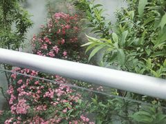 -正宗火盆自助烧烤·烤全羊·柴火鸡(龙泉山店)