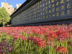 -西安大兴善寺