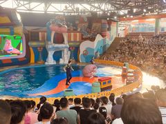 -海合安武汉极地海洋公园