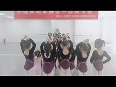 -西安小天鹅艺术团(金花路校区)