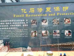-诸城市恐龙博物馆