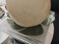 -汤城·料青山