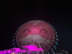 -琴岛之星摩天轮