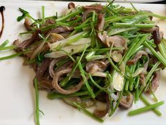 芫爆肚丝-致美楼(前门店)