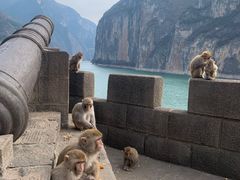 -白帝城·瞿塘峡景区