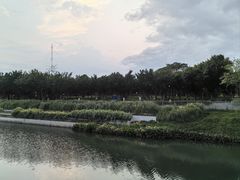 -福田红树林生态公园