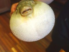 -永安鱼庄·镇江菜(丁卯店)