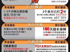 -lincat·猫舍(广州店)