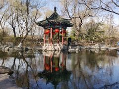 -百脉泉景区