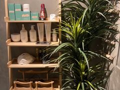 -施奈儿.洗头頭療.按摩SPA.采耳(上梅林店)
