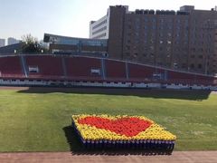 -中央民族大学