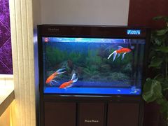 -良子足浴(湖滨店)