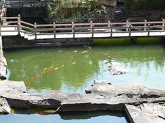 -蛇蟠岛
