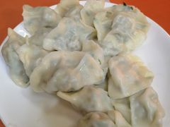 韭菜鸡蛋饺子-启子大馅饺子